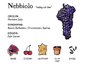 Nebbiolo the same as Pinot Noir?