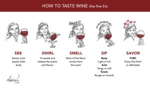 What are the 5 S's of red wine?